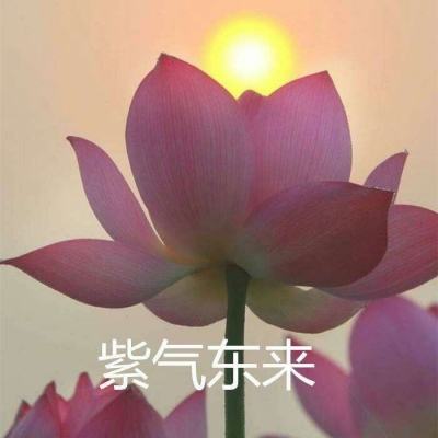 安魂曲无限钻石版下载